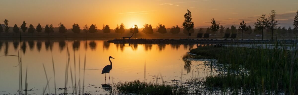 I am sorry for my English - letter