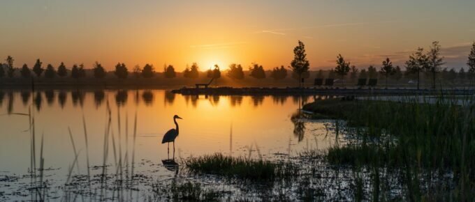 I am sorry for my English - letter